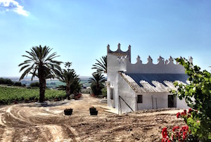Finca Moncloa, Gonzalez-Byass, Jerez, Cadiz, Arcos de la Frontera, Jose Manuel Pinedo, Grandes Pagos, Tintilla de Rota