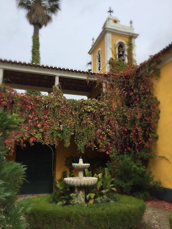 wines of Portugal, Lisboa wine region, Quinta de Sant'Ana